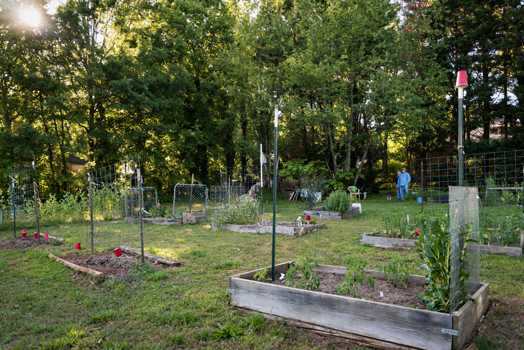 Jim and Jan Hullihan Urban Garden